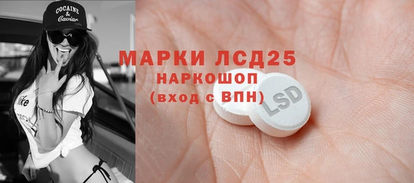 PSILOCYBIN Магас