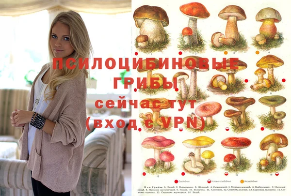 PSILOCYBIN Магас