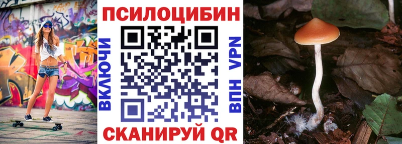 площадка наркотические препараты  Макаров  Псилоцибиновые грибы прущие грибы 